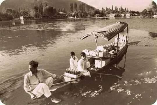 Green View Group Of Houseboats Srīnagar Екстериор снимка
